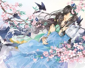 缅北开火车在线观看完整版